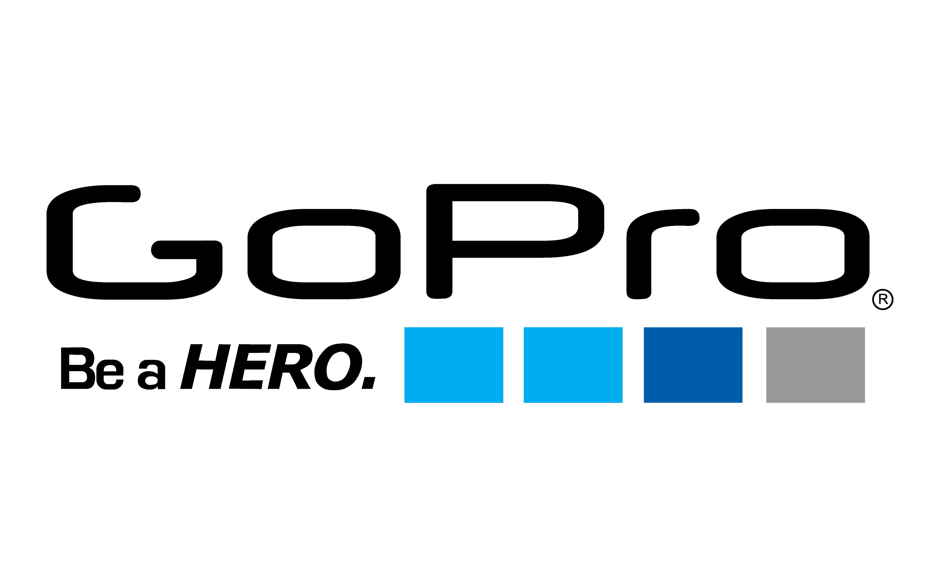 Go pro logo