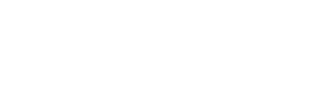 University of Texas Logo