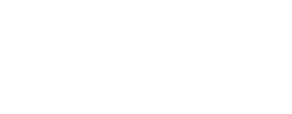 Spacex logo