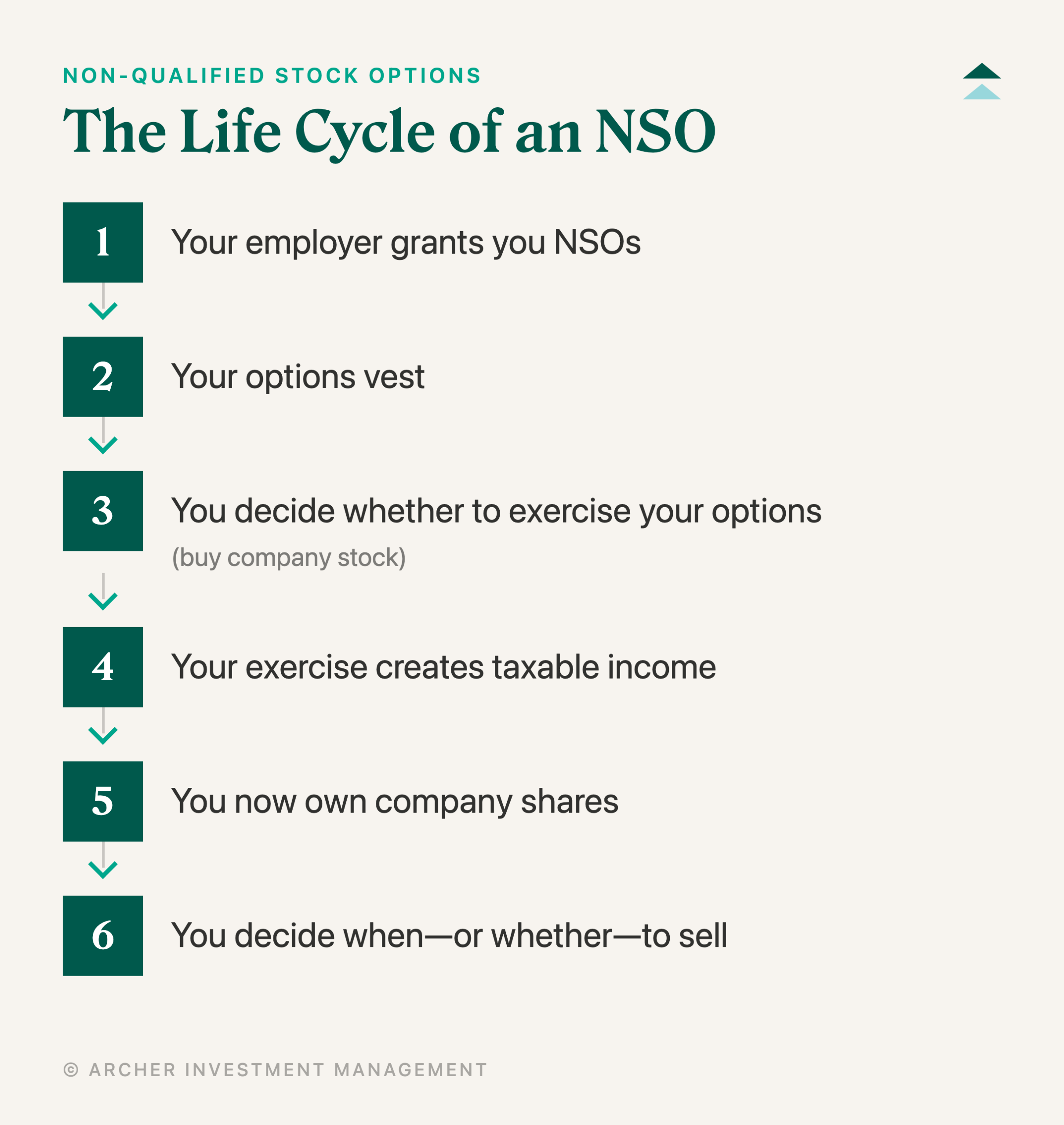 NSO life cycle